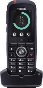 dect_8_600-149x300